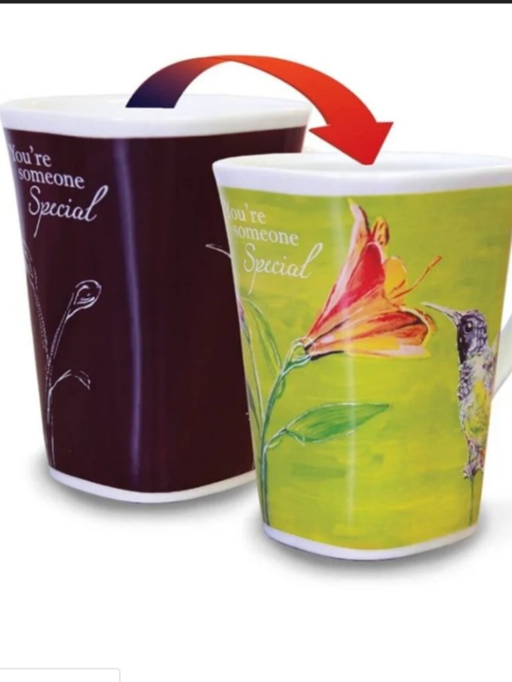 Color Changing Story Mug - Someone Special - Hummingbird